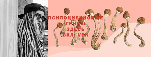 прущая мука Армянск